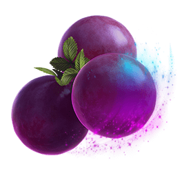 Über uns - Casino Rocket